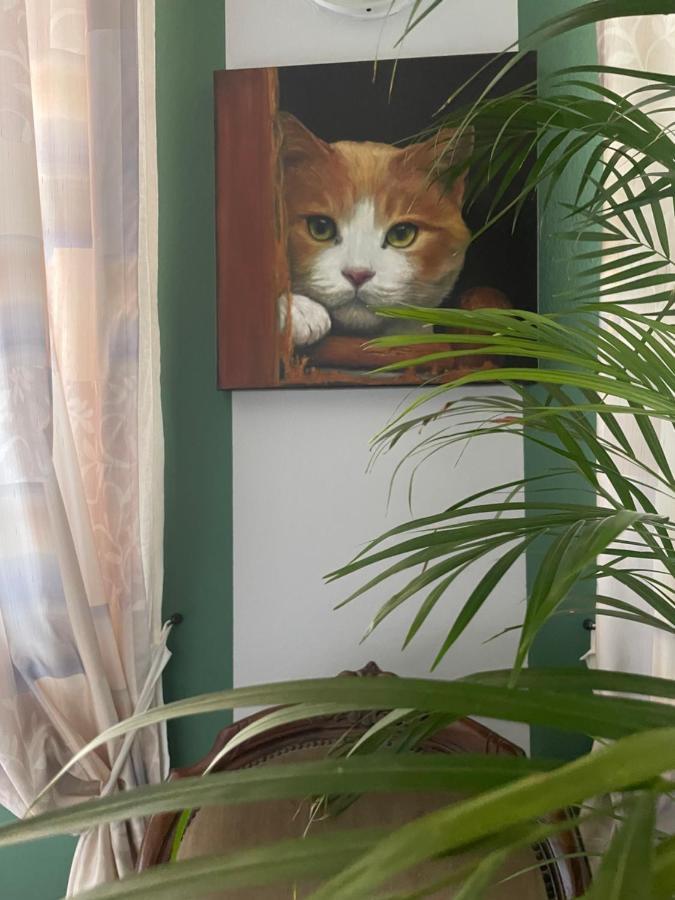 Pontirolo Nuovo Il Giardino Di Emilia - Intero Appartamento In Villa Con Giardino Privato E Piscina Estiva מראה חיצוני תמונה